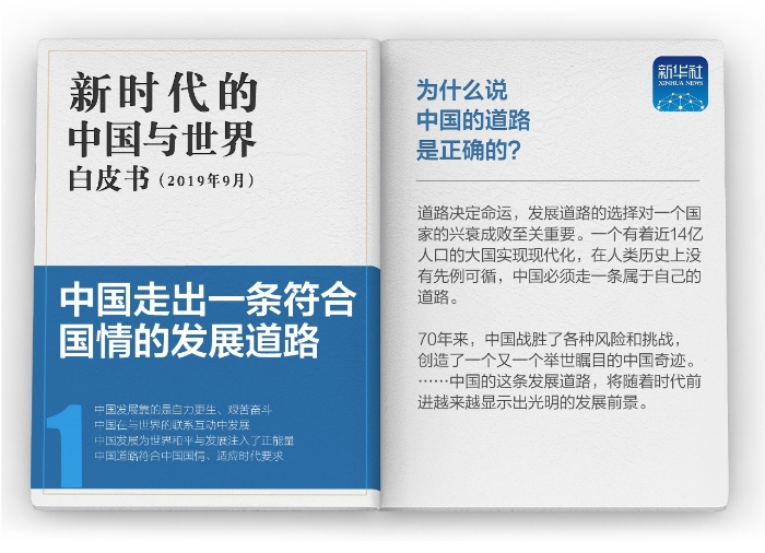 白皮书1