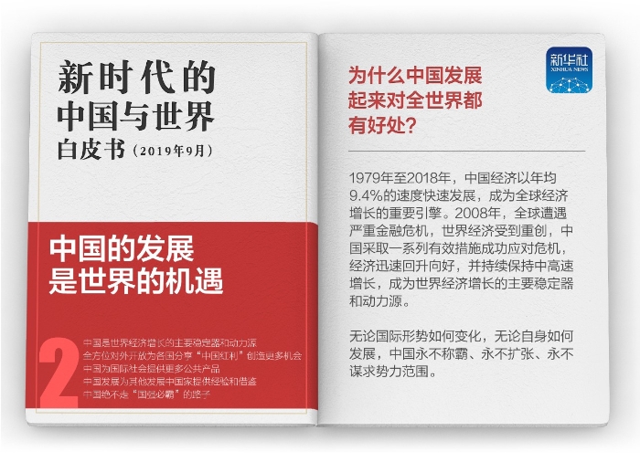 白皮书2
