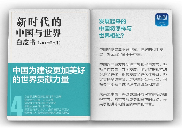 白皮书4