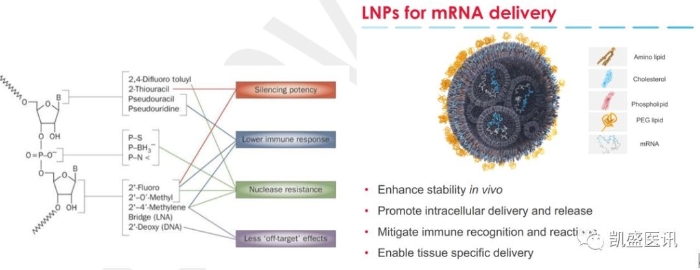 mRNA药物的核苷修饰                     mRNA的纳米脂质体递送