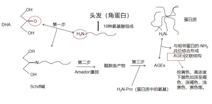 染发过程