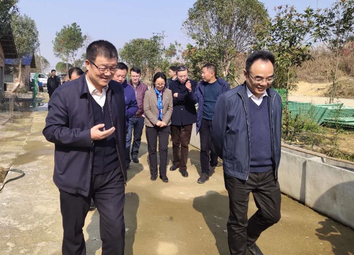 湖南省市场监督管理局党组书记刘湘凌（左一）湖南省药品监督管理局局长李赤群在世富村调研扶贫工作。