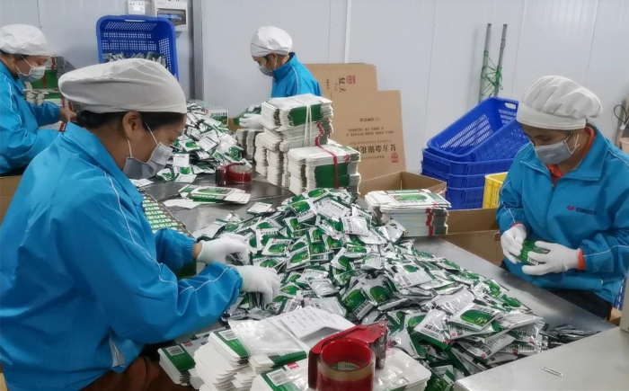 图为双蚁药业生产一线员工提前复工复产（莫永娟 摄）