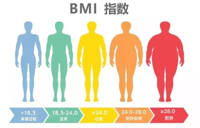 体脂率