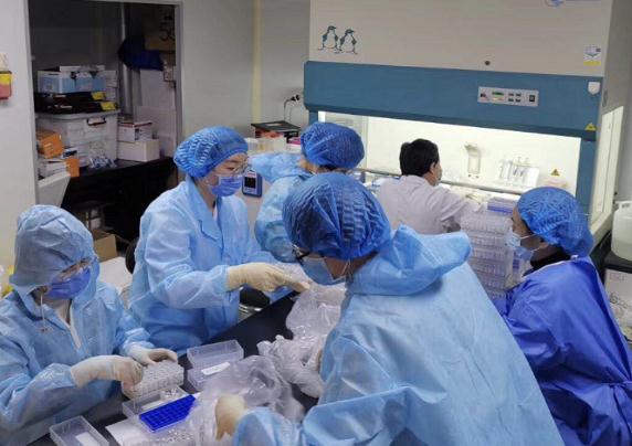 传染病诊断试剂二室科室应急检验工作人员连夜加班制备新型冠状病毒抗体检测试剂国家参考品。