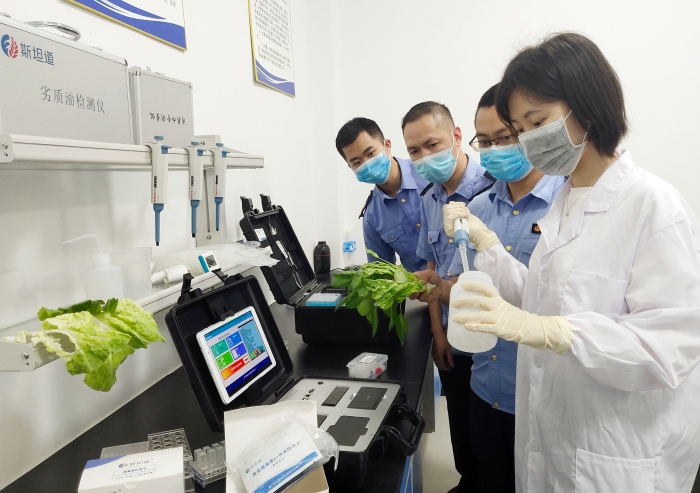 检测人员正在检测室对蔬菜样品进行蔬菜农药残留快速检测