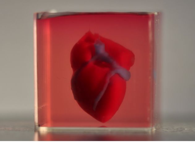 图2：首例3D打印完整心脏