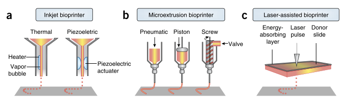 图3：3D生物打印方法示意图 a）喷墨生物打印；b）微挤出生物打印（通过气动或机械力进行连续挤出）；c）激光辅助生物打印（通过可吸收激光的基底材料产生脉冲压力）