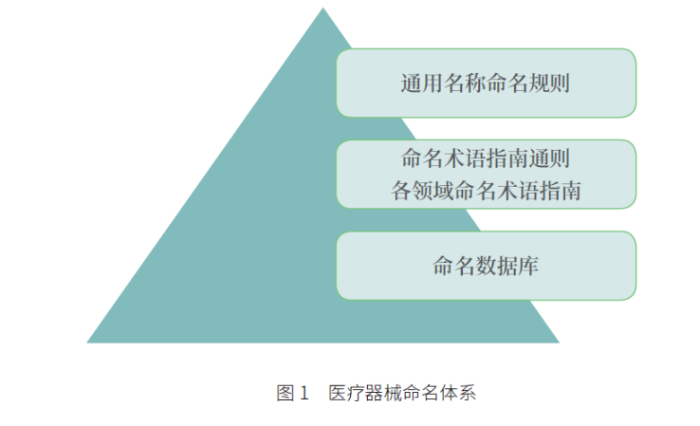 医疗器械命名体系