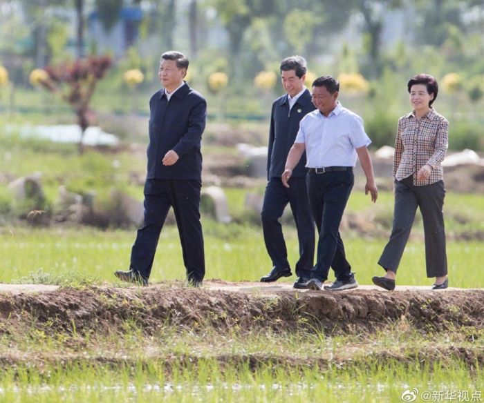 习近平在银川考察调研