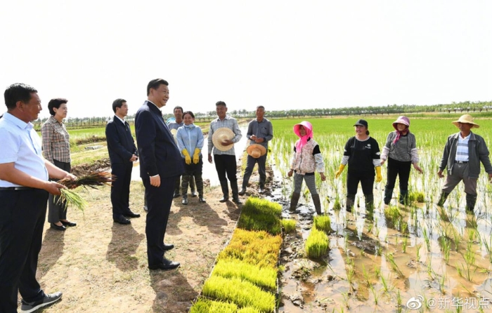 习近平在银川考察调研