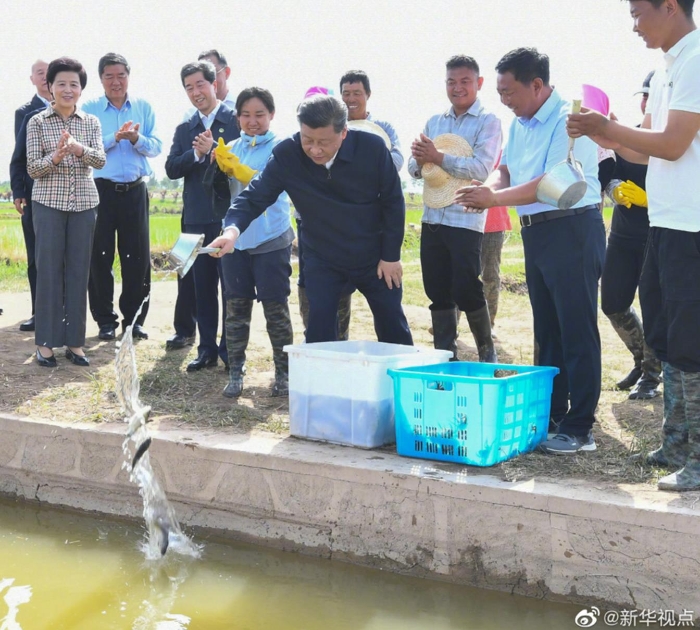 习近平在银川考察调研