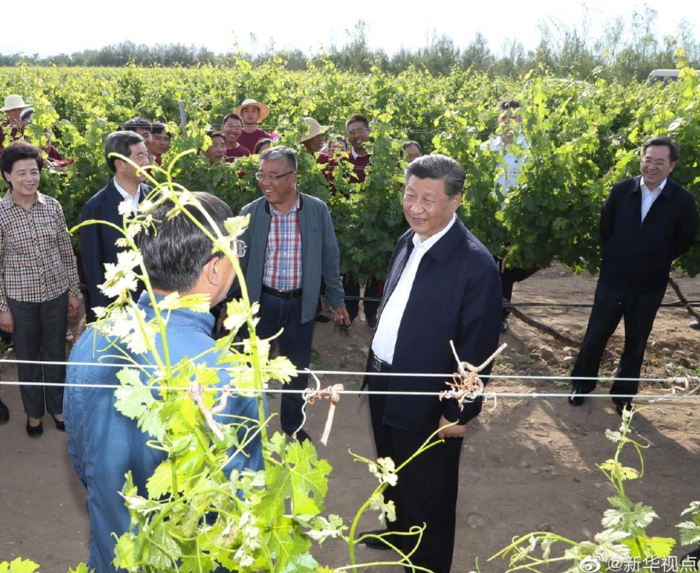 习近平在银川考察调研