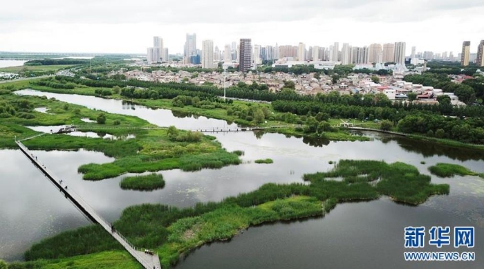 6月25日，市民在哈尔滨大剧院附近的城市湿地游玩（无人机照片）。新华社记者王建威摄