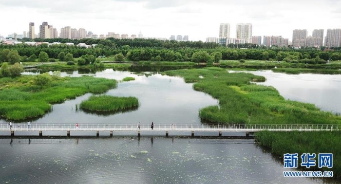 6月25日，市民在哈尔滨大剧院附近的城市湿地游玩（无人机照片）。新华社记者王建威摄