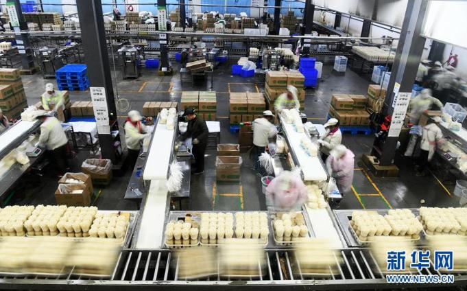 工人在位于贵州威宁经济开发区的雪榕生物科技有限公司生产车间包装金针菇（2019年10月17日摄）。新华社记者 杨文斌 摄