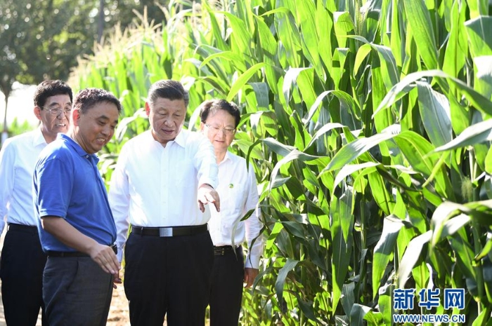 习近平在吉林考察