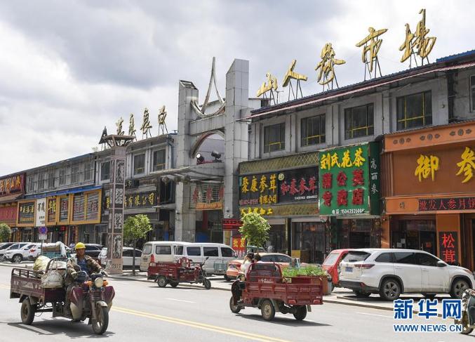 这是吉林省抚松县万良镇的万良长白山人参市场（8月28日摄）。新华社记者 许畅 摄