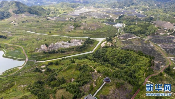 这是位于江西省寻乌县文峰乡上甲村附近的生态修复区，从前这里是大面积的废弃稀土矿山（7月19日摄，无人机照片）。  新华社记者 彭昭之 摄