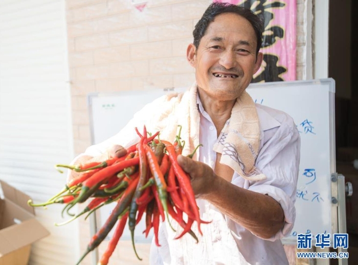 在湖北省保康县马良镇赵家山村，村民展示即将出售的线椒（8月27日摄）。新华社记者 肖艺九 摄