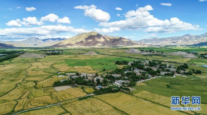 这是西藏日喀则市江孜县江孜镇东郊村（8月28日摄，无人机照片）。  新华社记者 孙非 摄