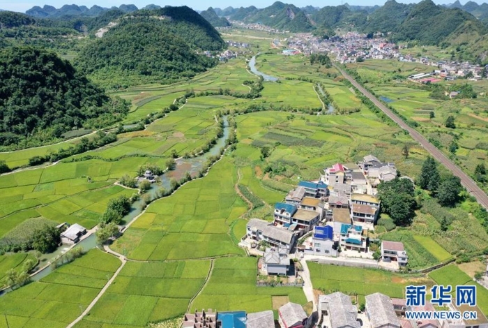 贵州省安顺市鲍家屯周围的稻田和水利工程（8月25日摄，无人机照片）。新华社记者 刘续 摄