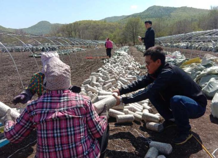 图为省药监局派驻鸡冠村第一书记刘铁成（右一）对农户种植木耳进行技术指导。