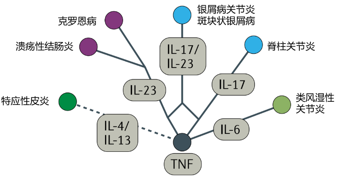 修美乐3