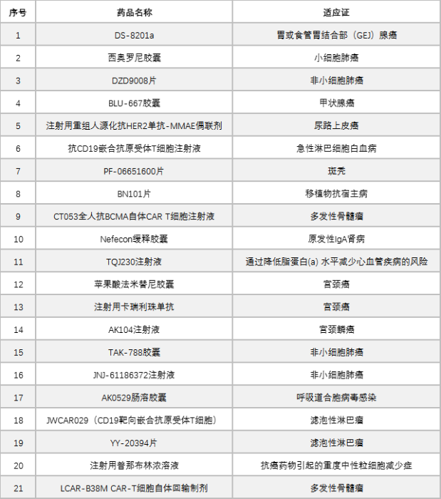 表2. 被授予突破性治疗的药物（截至2020年12月31日）