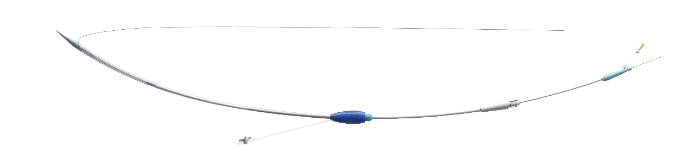 Castor®分支型主动脉覆膜支架及输送系统-2
