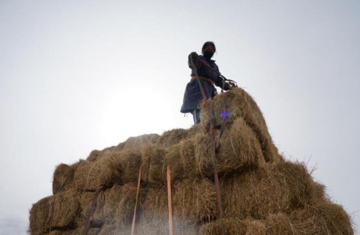 在青海省果洛藏族自治州甘德县江千乡，村民正在给刚收割完的饲草打捆。（2020年11月3日摄）。新华社记者陈凯 摄