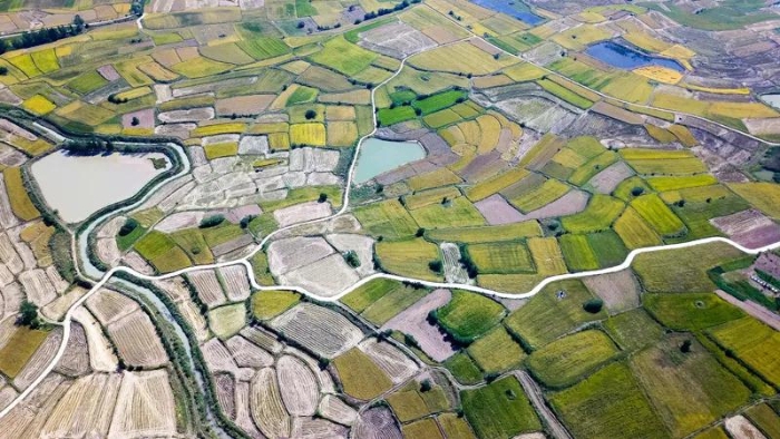 安徽省滁州市凤阳小岗村的田野景象（2018年9月27日摄，无人机照片）。新华社记者 张端 摄