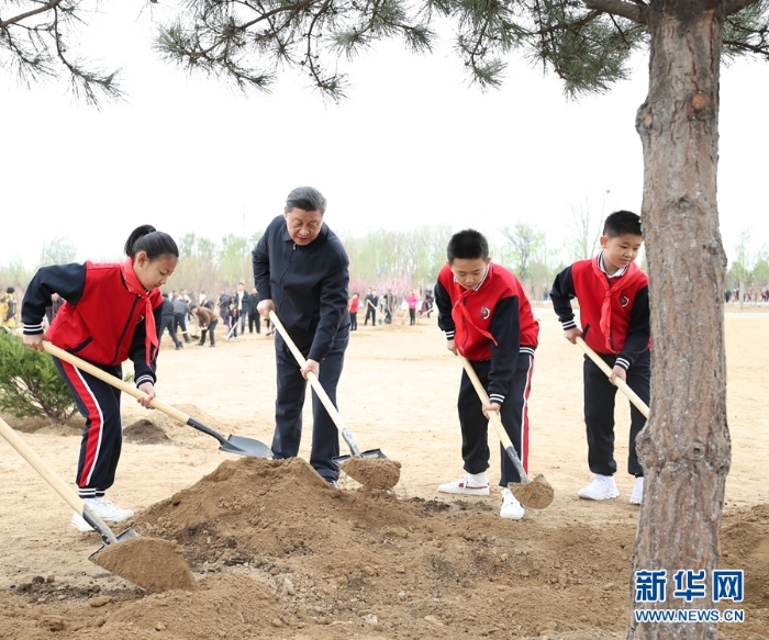 习近平在参加首都义务植树活动