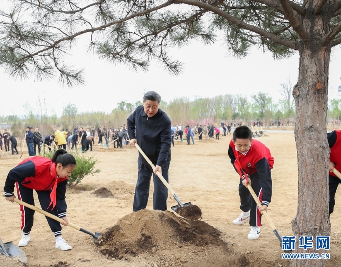 习近平在参加首都义务植树活动