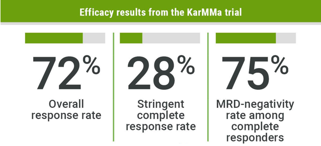 KarMMa试验有效性结果