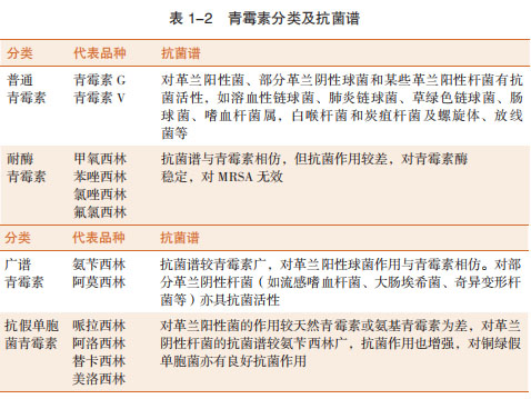 合理使用抗菌药物 青霉素类