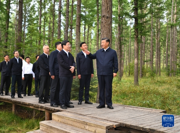 8月23日至24日，中共中央总书记、国家主席、中央军委主席习近平在河北省承德市考察。这是23日下午，习近平在塞罕坝机械林场尚海纪念林察看林木长势。新华社记者 谢环驰 摄