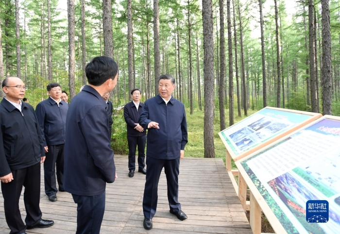 8月23日至24日，中共中央总书记、国家主席、中央军委主席习近平在河北省承德市考察。这是23日下午，习近平在塞罕坝机械林场尚海纪念林察看林木长势。新华社记者 李学仁 摄