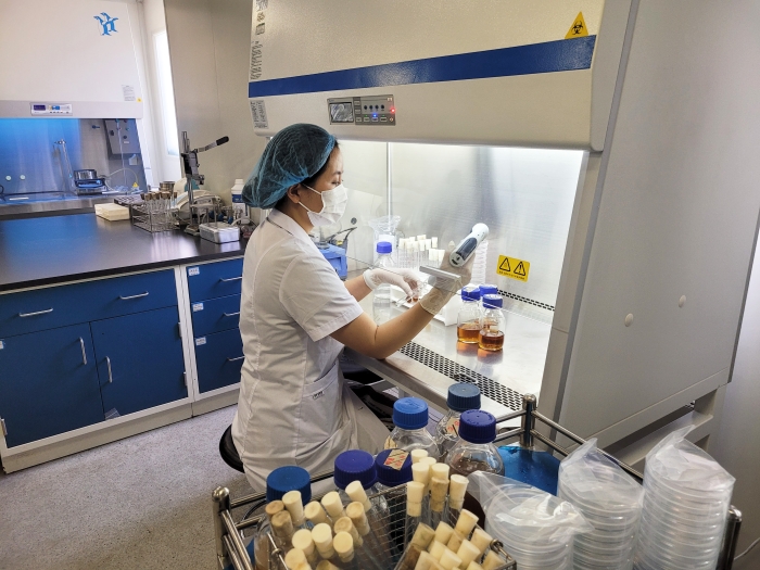 图为陕西省食品药品检验研究院技术人员进行微生物检测。