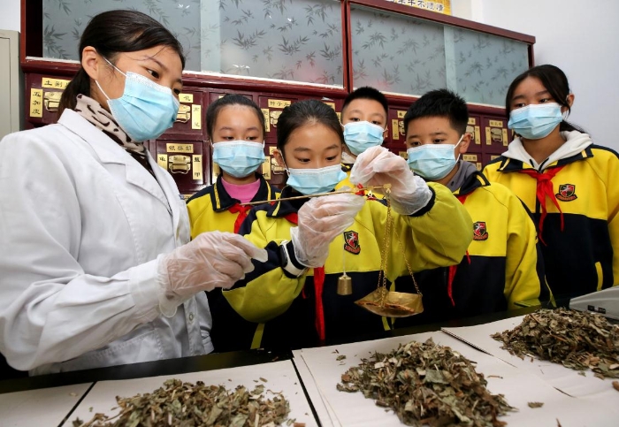 图为山东省枣庄市市中区中兴小学学生在中药店学习用戥子称量中草药。