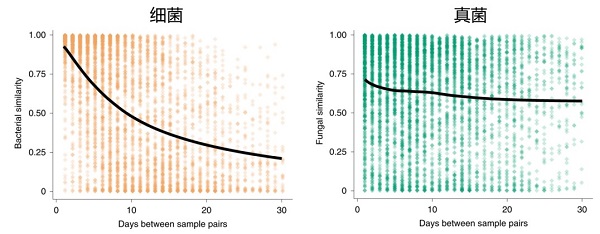 图1.肠道真菌群落的稳定性较低