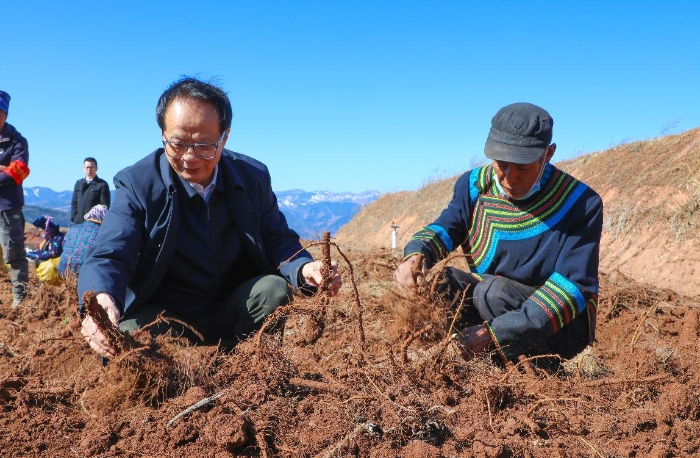 耿福能代表到凉山州调研。