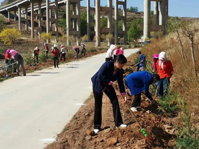 图为张宁参加美丽乡村示范村建设植树活动。