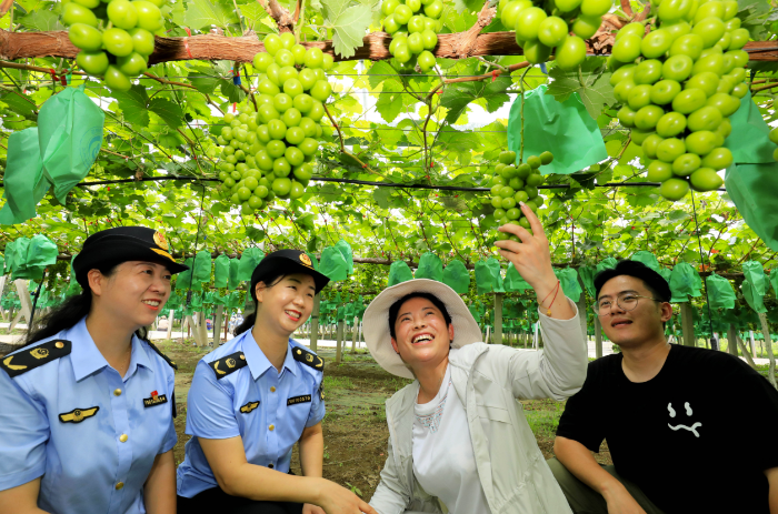 图为淮北市市场监管局工作人员对当地一家食用农产品生产企业开展实地帮扶指导。