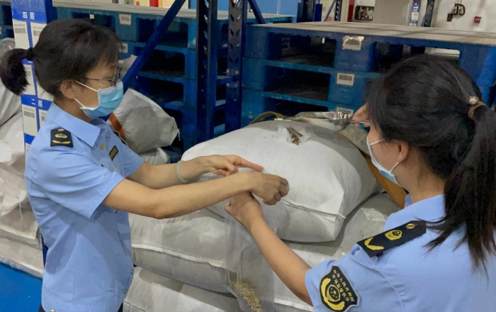 图为监管人员在抽验中随机取样。