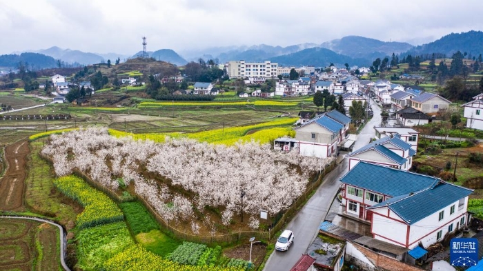 这是贵州省遵义市播州区枫香镇花茂村风貌（无人机照片，2020年2月28日摄）。新华社记者 陶亮 摄