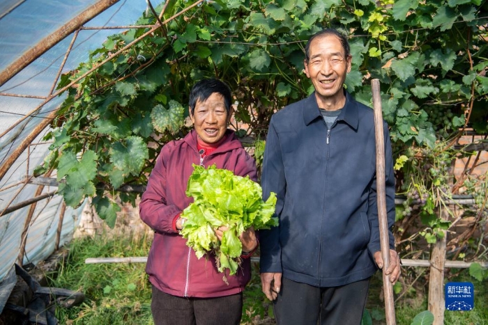 10月16日，在山西省岢岚县宋家沟村，村民周有娥（左）和老伴在自家大棚里合影。新华社记者 杨晨光 摄