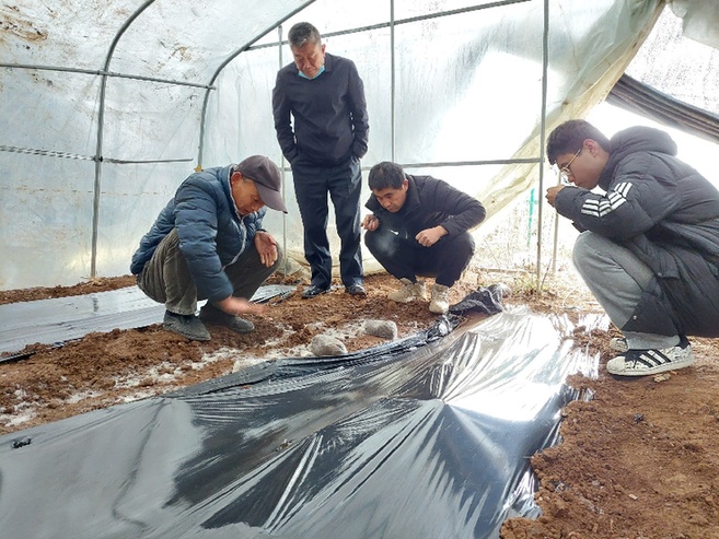 在灵阳村的香菇产业园里，驻村工作队正在和村民们探讨香菇种植技术。