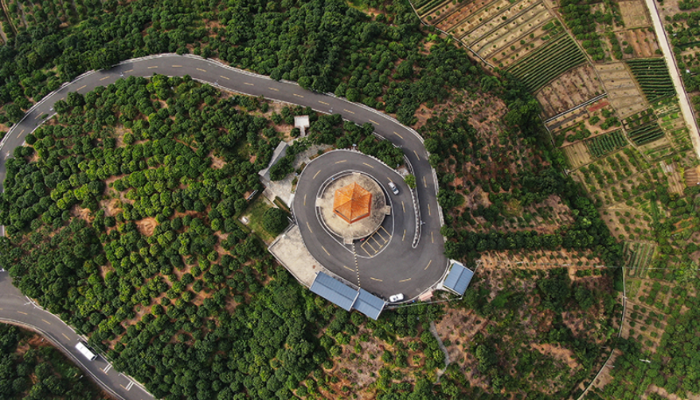 茂名高州市根子镇打造的荔枝林景观（2021年11月3日摄，无人机照片）。新华社记者 王瑞平 摄
