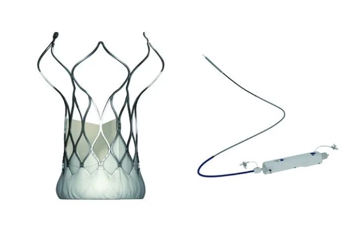 图为VitaFlow Liberty经导管主动脉瓣膜及可回收输送系统。